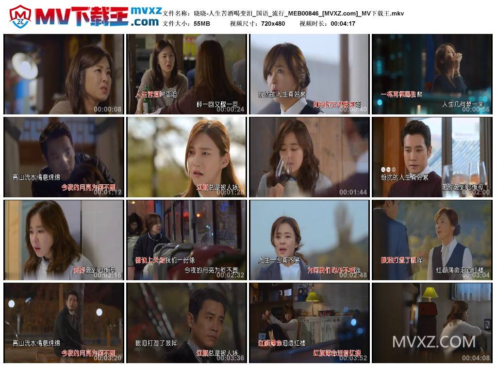 晓晓-人生苦酒喝变泪_国语_流行_MEB00846